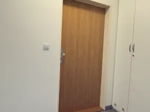 Pronájem bytu 1+kk, Brno, Vinohrady, 38 m2