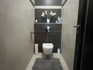 Pronájem bytu 2+kk, Liberec, U Koupaliště, 69 m2