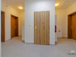 Prodej bytu 2+1, Janovice nad Úhlavou, Rozvojová zóna, 74 m2