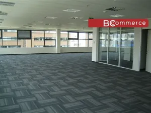 Pronájem kanceláře, Brno, 936 m2