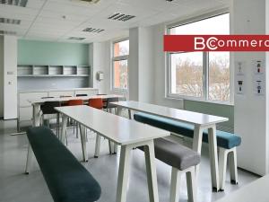 Pronájem kanceláře, Brno, Purkyňova, 300 m2