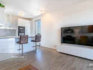 Pronájem bytu 2+kk, Plzeň, Stehlíkova, 73 m2