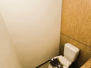 Prodej bytu 2+kk, Most, Františka Malíka, 40 m2