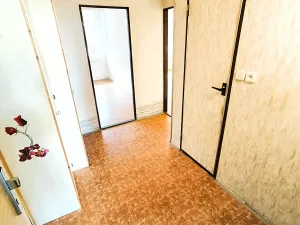 Prodej bytu 2+kk, Most, Františka Malíka, 40 m2