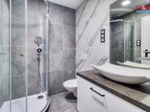 Pronájem bytu 2+kk, Plzeň - Východní Předměstí, Rychtaříkova, 28 m2
