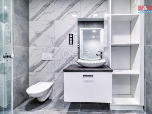 Pronájem bytu 2+kk, Plzeň - Východní Předměstí, Rychtaříkova, 28 m2
