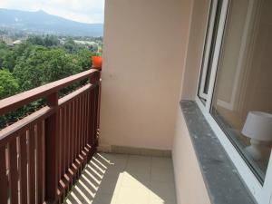Pronájem bytu 1+kk, Liberec, Ruská, 29 m2