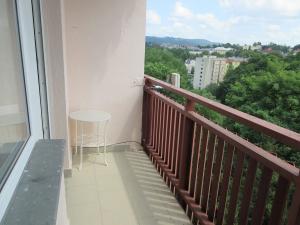 Pronájem bytu 1+kk, Liberec, Ruská, 29 m2