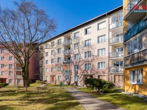 Pronájem bytu 1+kk, Aš, Dobrovského, 19 m2