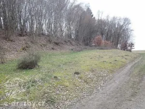 Dražba pozemku, Dlouhá Ves, 2751 m2
