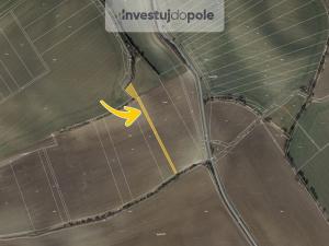 Prodej pole, Hvězdlice - Nové Hvězdlice, 1956 m2