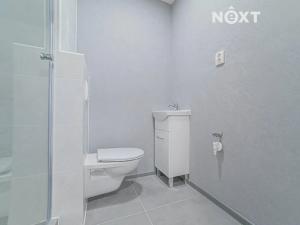 Pronájem bytu 1+1, Ostrava, Svojsíkova, 28 m2