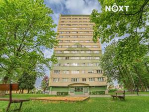 Pronájem bytu 1+1, Ostrava, Svojsíkova, 28 m2