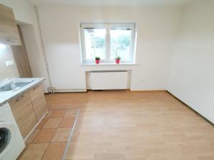Pronájem bytu 1+kk, Ostrava, U Lípy, 28 m2