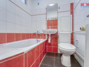 Pronájem bytu 1+1, Plzeň, Rychtaříkova, 31 m2