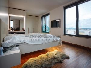 Pronájem bytu, České Budějovice - České Budějovice 3, Staroměstská, 240 m2