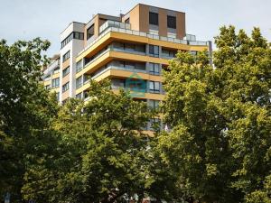 Pronájem bytu, České Budějovice - České Budějovice 3, Staroměstská, 240 m2