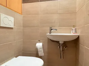 Pronájem bytu 3+1, Brno, Vondrákova, 70 m2
