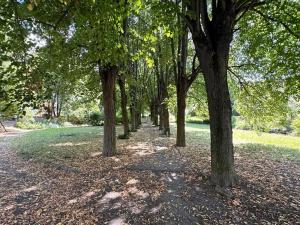 Pronájem bytu 3+1, Brno, Vondrákova, 70 m2