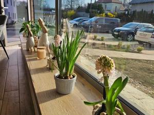 Pronájem restaurace, Horoušany - Horoušánky, Hlavní, 99 m2