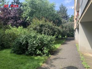 Pronájem bytu 2+kk, Rakovník, Spalova, 42 m2