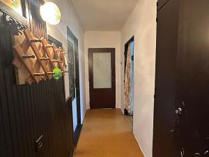 Pronájem bytu, Dolní Břežany, Na Vršku, 20 m2
