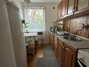 Pronájem bytu, Dolní Břežany, Na Vršku, 20 m2