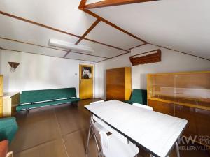 Prodej vícegeneračního domu, Plzeň, Nohova, 200 m2