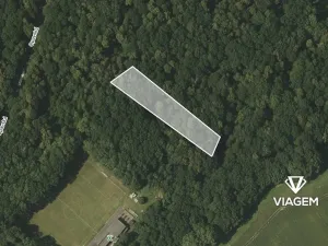 Prodej lesa, Hněvošice, 2434 m2