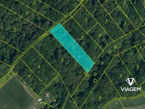 Prodej lesa, Hněvošice, 2434 m2