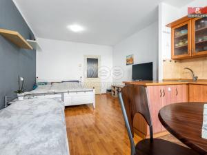 Pronájem bytu 1+kk, Pardubice - Zelené Předměstí, nábřeží Závodu míru, 32 m2