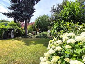 Pronájem bytu 2+kk, Písek, Tylova, 67 m2