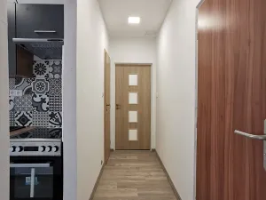Pronájem bytu 2+1, Ústí nad Labem, U Pivovarské zahrady, 60 m2