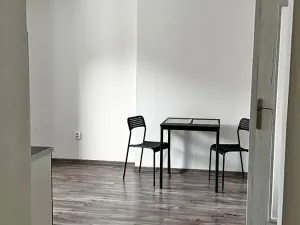 Pronájem bytu 1+1, Ostrava, 28. října, 47 m2