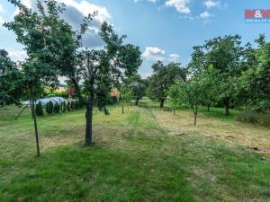 Prodej pozemku pro bydlení, Viničné Šumice, 3276 m2