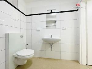 Pronájem bytu 2+kk, Týnec nad Sázavou, 58 m2