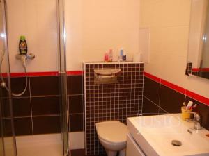Pronájem bytu 1+kk, Písek, Nádražní, 30 m2