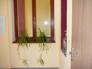 Pronájem bytu 1+kk, Písek, Nádražní, 30 m2