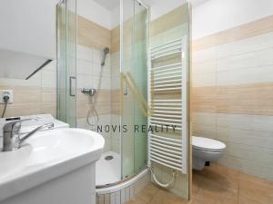 Pronájem bytu 1+1, Plzeň, Tichá, 35 m2