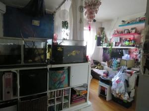 Prodej bytu 1+kk, Praha - Vysočany, Jandova, 29 m2