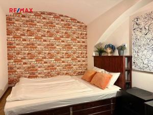 Prodej atypického bytu, Praha - Nové Město, Příčná, 20 m2