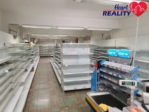 Pronájem obchodního prostoru, Dolní Benešov, Osada míru, 313 m2