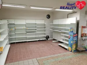Pronájem obchodního prostoru, Dolní Benešov, Osada míru, 313 m2