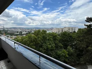 Prodej bytu 2+1, Brno, Brožíkova, 55 m2