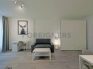 Pronájem bytu 1+kk, Brno, Kobližná, 46 m2