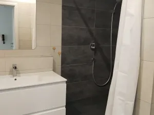Pronájem bytu 3+1, Plzeň, Elišky Krásnohorské, 68 m2
