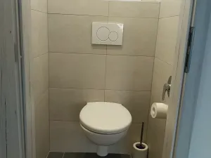 Pronájem bytu 3+1, Plzeň, Elišky Krásnohorské, 68 m2