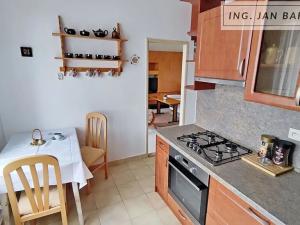 Pronájem bytu 2+1, Jihlava, Riegrova, 55 m2
