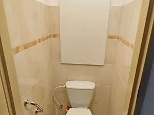 Pronájem bytu 2+1, Jihlava, Riegrova, 55 m2