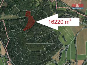 Prodej lesa, Petrovice - Mezihoří, 16220 m2